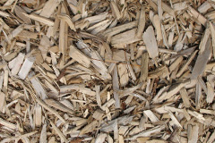 biomass boilers Glandyfi